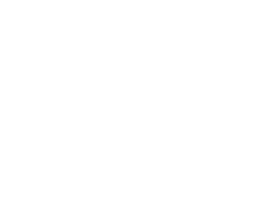 logo-nevalia-blanc